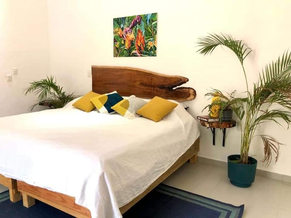 Villas Chital Bacalar Eksteriør billede
